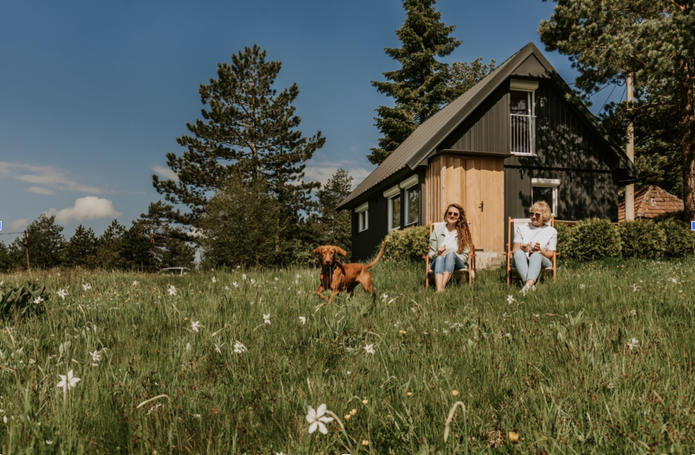 Enhancing Holiday Homes for Pet Guests